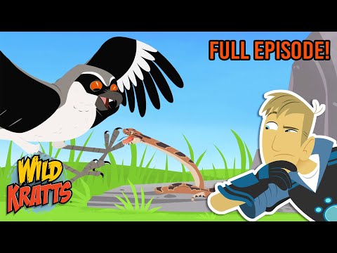 Mystery on the Prairie | Season 3 | Full Episode | Animals for Kids | Wild Kratts