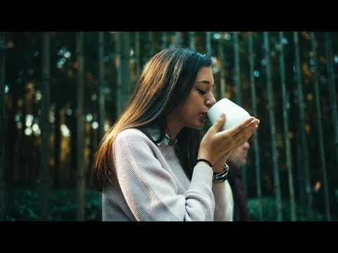 Kyushu: A Journey to the Land of Crafts_Japanese Ikat, Indigo Dye, Green Tea, Pottery, Washi, Umami