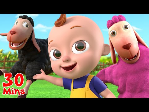 Baa Baa Black Sheep + Many More Nursery Rhymes & Baby Songs | Beep Beep