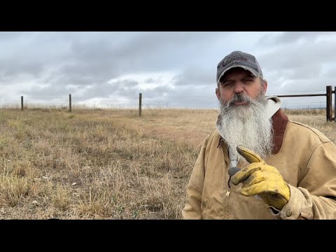 Coyote trapping back to basics. “The basic dirt hole set explained”