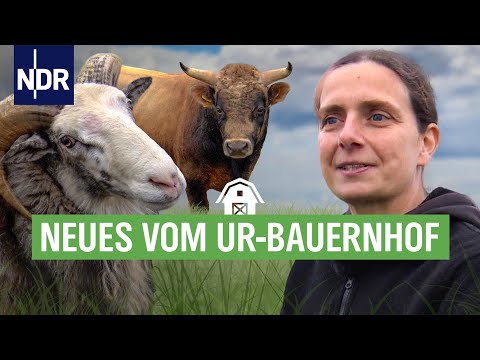 Nichts bleibt wie es ist - ...auf dem Ur-Bauernhof | die nordstory | NDR