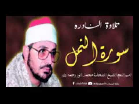 الشيخ الشحات محمد انور في تلاوة مباركة من سورة النمل/لاتنسونا بدعمكم للقناة وشكرا على الاستجابة
