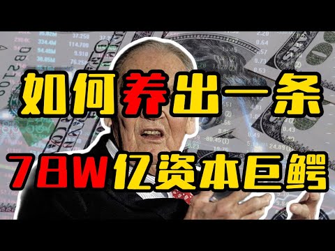 谁是全球五百强背后的最大股东？如何养出一条78w亿的资本巨鳄？【一张图看懂先锋领航】投资