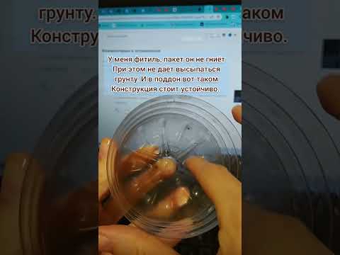 ОТВЕЧАЮ НА ЧАСТЫЙ ВОПРОС| ПОСАДКА ФИАЛКИ В БУТЫЛКУ