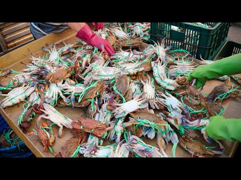 The process of cooking freshly caught crab | Asian Street Food