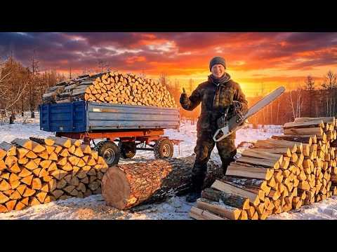 Life in the taiga. Firewood preparation in the village. We're bringing firewood for grandma.