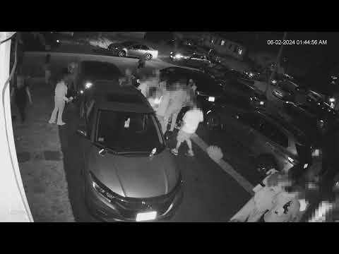 NEIGHBORHOOD SHOOTOUT: Footage allegedly captures four felons exchange gunfire at local house party