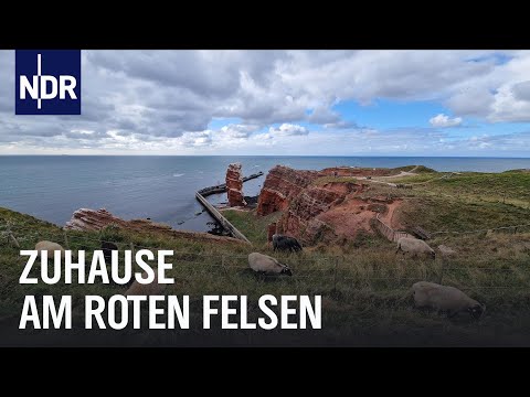 Neustart auf Helgoland | die nordstory | NDR Doku