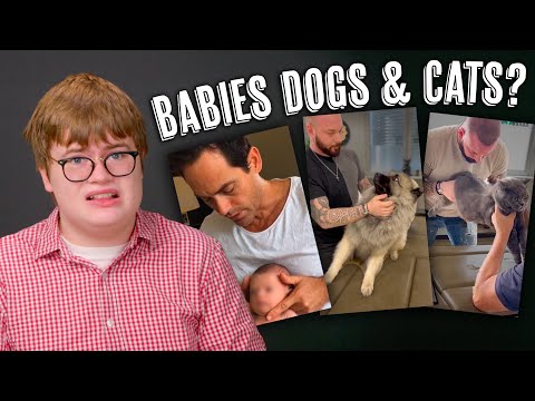 Have Chiropractors Lost Their Minds?