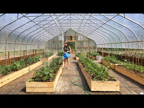 The RACE is On to Plant Our 2025 Summer Garden