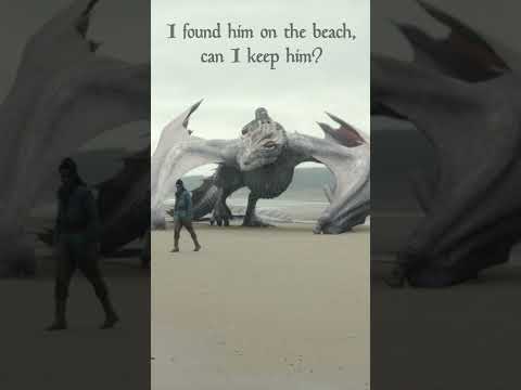 How To Train Your Human #houseofthedragon #georgerrmartin #adaptation