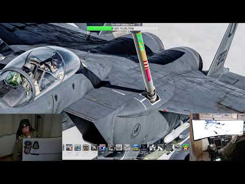 Strike Eagle🦅 | PANTHER DEN | DOF Reality | VIRPIL Controls