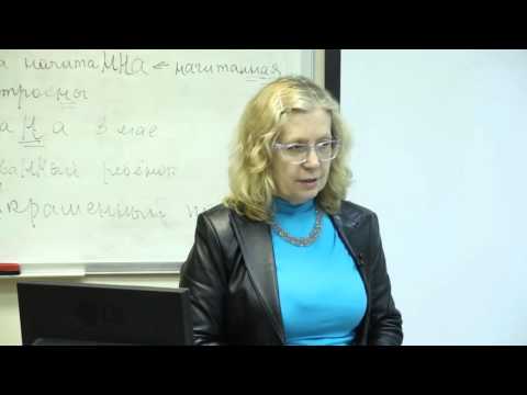 Русский язык. -Н- -НН- в словах разных частей речи. Синтаксис.