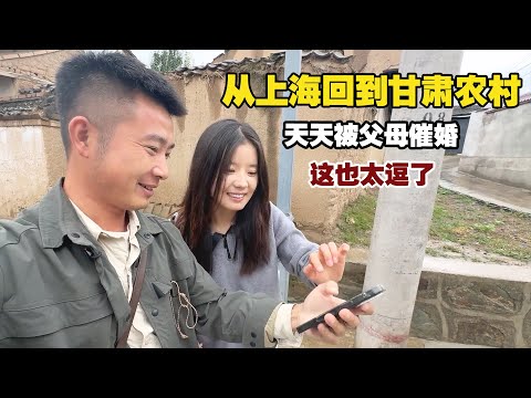 从上海回到甘肃农村，天天被父母催婚，这一家人也太欢乐了！【小白的奇幻旅行】