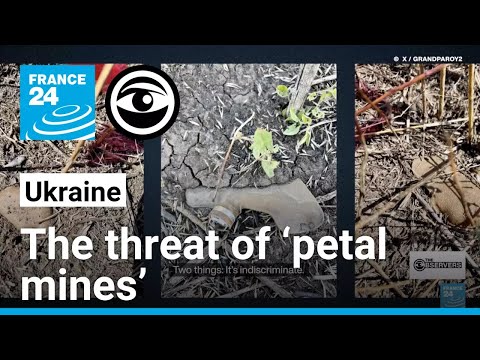 Ukrainian civilians under threat from ‘petal mines’ • The Observers - France 24