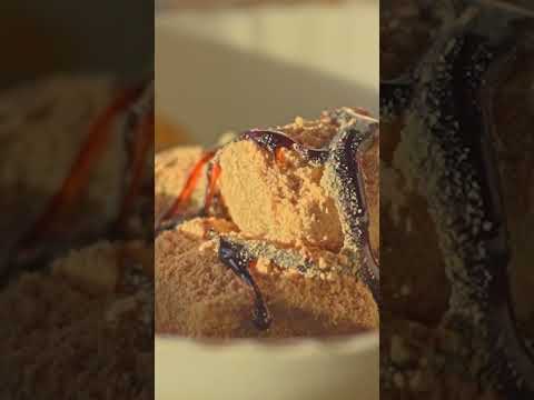 春の風とどうぶつたち🌿おやつの時間/Spring breeze