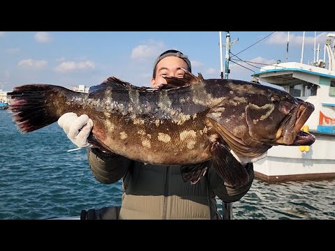 한마리에 140만원..!! 자연산 다금바리를 잡아서 먹어보자!