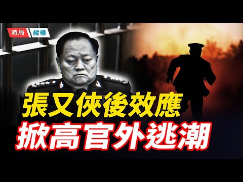 傳中組部副部長成功外逃！張又俠事件點燃高官跑路潮，習式「黨內文革」全面反噬，皇帝夢崩塌在即？   主播：黃容 【時局縱橫】