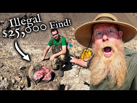 We found a $25,000 Fossil! *Illegal Ammonite Mining!*