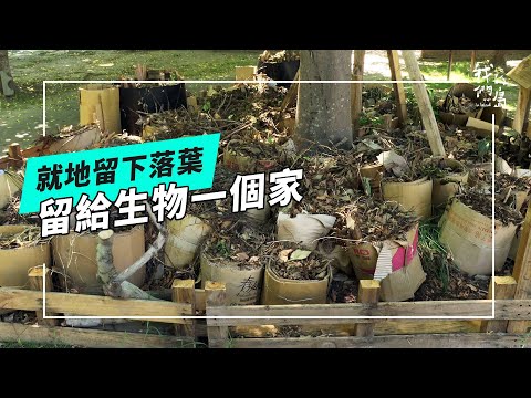 落葉行動｜把落葉還給樹木，打造永續生活綠空間(我們的島 第1274集 2024-09-23)