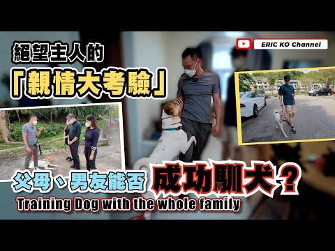 絕望主人的「親情大考驗 」父母、男友能否成功練犬?Training Dog with the whole family