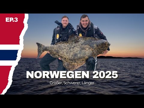 Angeln in Norwegen 2025 | Episode 3 | Monster Heilbutt!