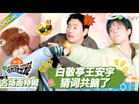 【现在就出发S3】名场面特辑：白敬亭王安宇猜词共脑了！ |《现在就出发S3》Natural High S3 #沈腾#王安宇 #黄景瑜 #金晨#范丞丞#贾冰#胡先煦#白敬亭