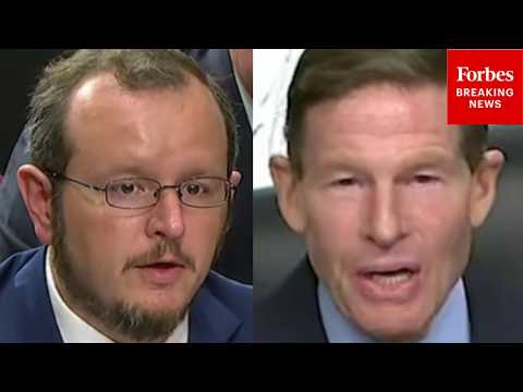 'You Were Told Not To Reveal It?': Blumenthal Asks ICE Whistleblower About Warrant Memo
