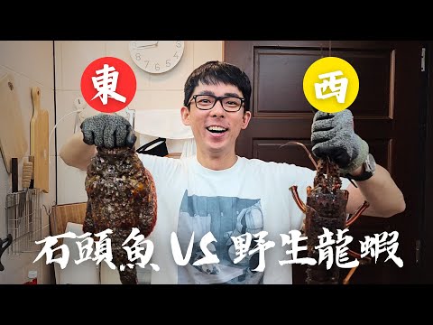 【誰來午餐】闊腹龍蝦老鼠斑的一期一會。| 理事長蒞臨指導。Ft. @打魚王翔哥  @阿滴英語