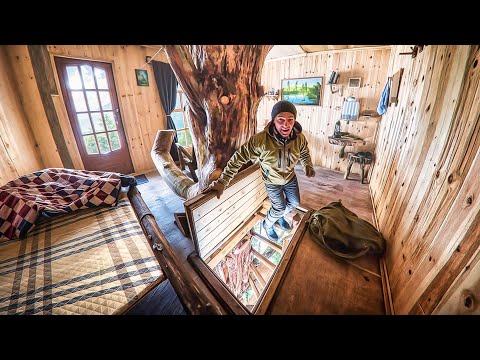 My HUGE TREE HOUSE. Two Years Ago I Built Myself A House and This Is What Happened To It