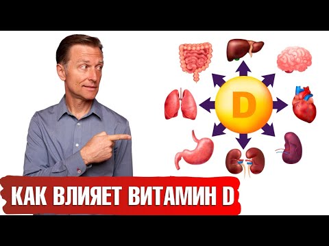 Влияние витамина D на каждый орган вашего тела🔥