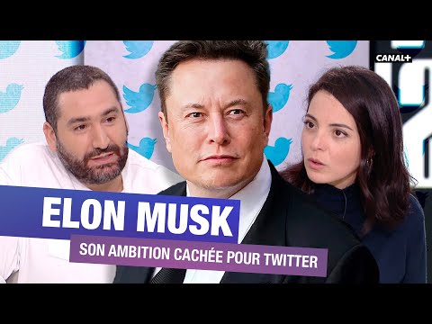 Quelle est la stratégie d'Elon Musk avec le rachat de Twitter ? - CANAL+