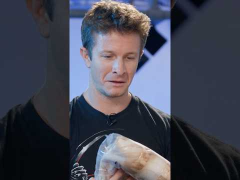 We Got SCAMMED By Ai