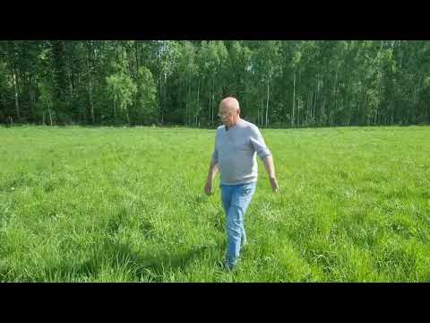 Высокоурожайные сенокосы из злаково-бобовых трав.