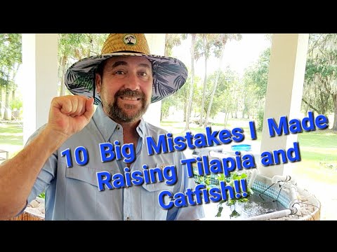 10 Mistakes I made raising tilapia and catfish