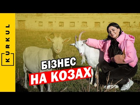 How much does a goat cost and is it profitable to sell milk? — Babanyi kozy / Kurkul