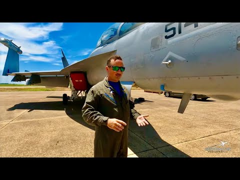 EA-18 Growler Walkaround