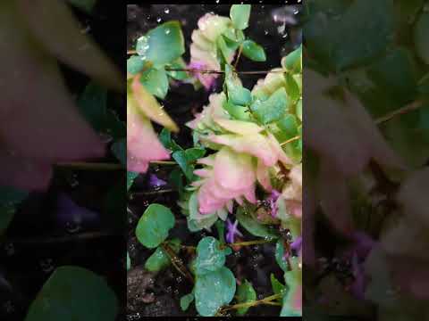 Синоптики обещают ☔💦🌂