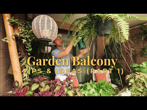 Floor, Wall, Ceiling, Pots/Planters & Plant Styling πͺ΄πΏπ±