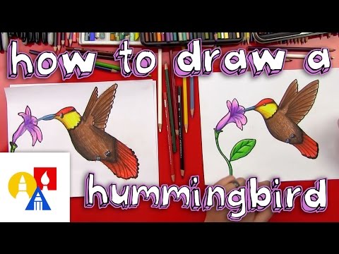How To Draw A Hummingbird