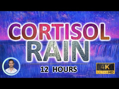 Soothing Cortisol Cleansing Rain | Anxiety Release Sound | 12 Hours | Sleep, Focus & Tinnitus Relief