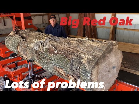 Sawing a log that was going to be fire wood