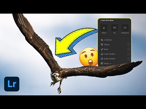 The One Panel That Changes EVERYTHING in Lightroom