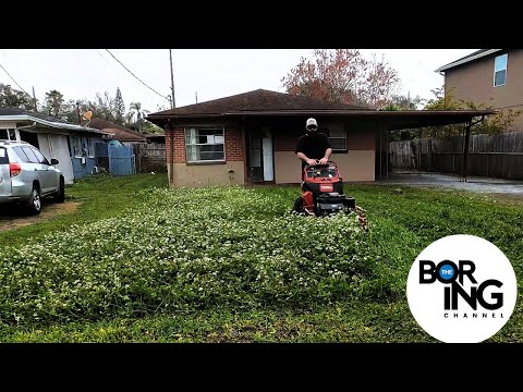 BANK TAKES POSSESCION of home LEAVING it to be a BLIGHT on the NEIGHBORHOOD