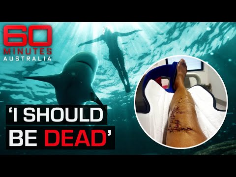 Heroic strangers save the life of a shark attack victim | 60 Minutes Australia