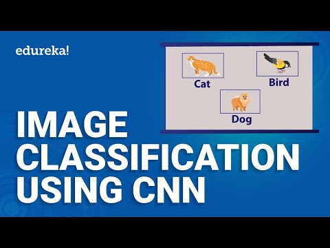 Image Classification using CNN | Deep Learning Tutorial | Machine Learning Project 9 | Edureka