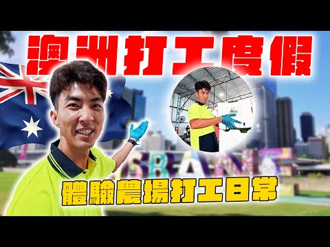 我到澳洲打工度假了！比台灣工作好賺又輕鬆？！