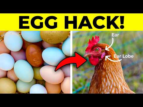 100 Facts About Life You Won't Believe You Didn't Already Know