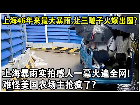 上海46年來最大暴雨，竟讓三蹦子火爆出圈？上海暴雨實拍感人一幕火遍全網！難怪美國農場主們搶瘋了？