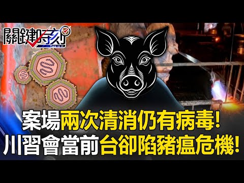 案場兩次清消仍有病毒！ 全球關注「川習會」台灣卻陷非洲豬瘟危機！？ 【關鍵時刻】張炤和 黃世聰 林裕豐 姚惠珍 @ebcCTime